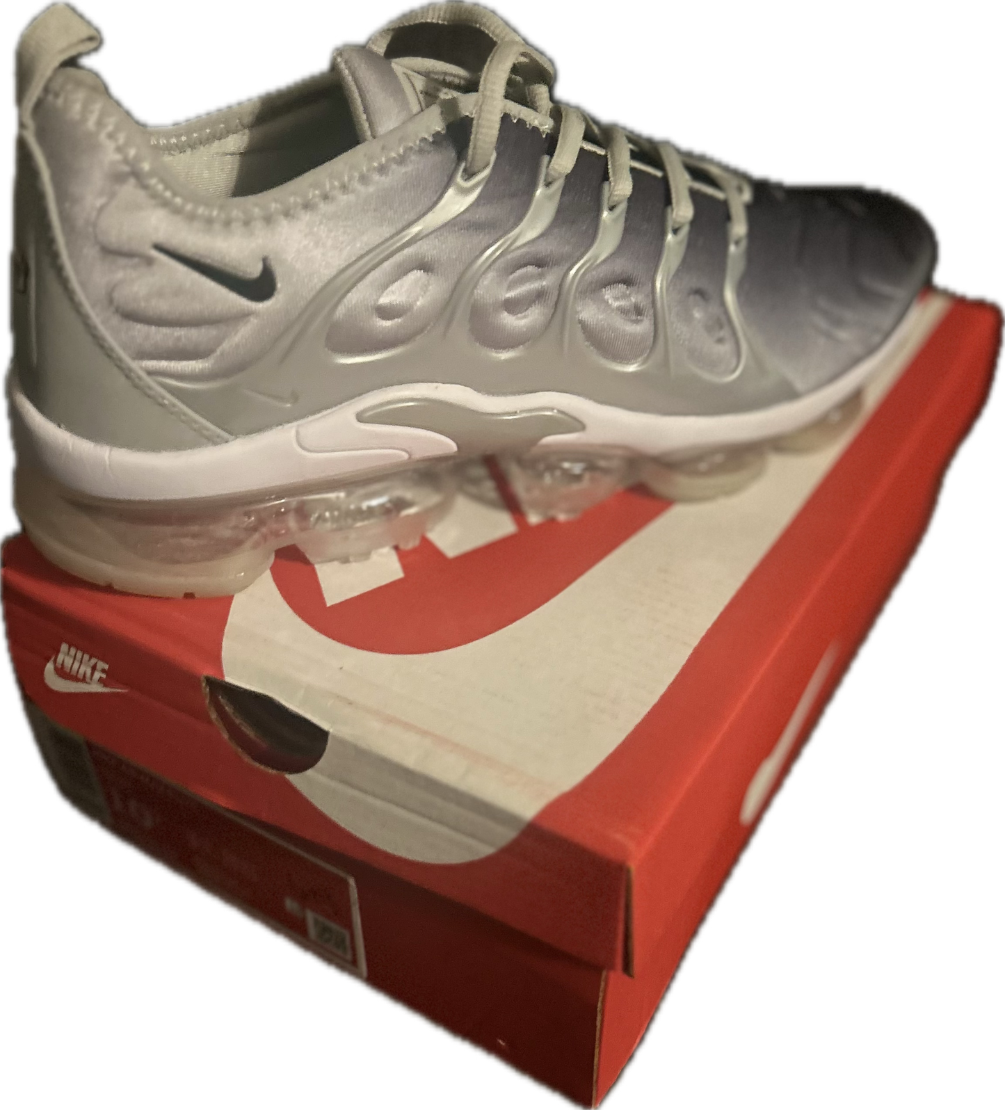 Nike Air Max Plus Silver