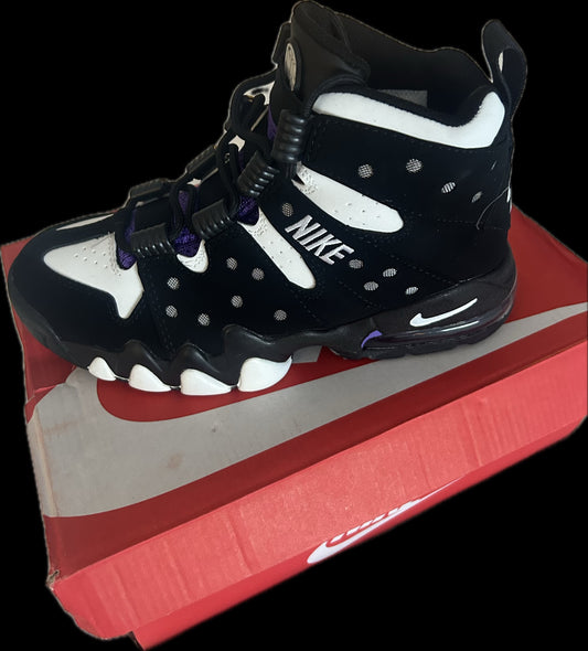 Phoenix Suns CB Air Max “94”