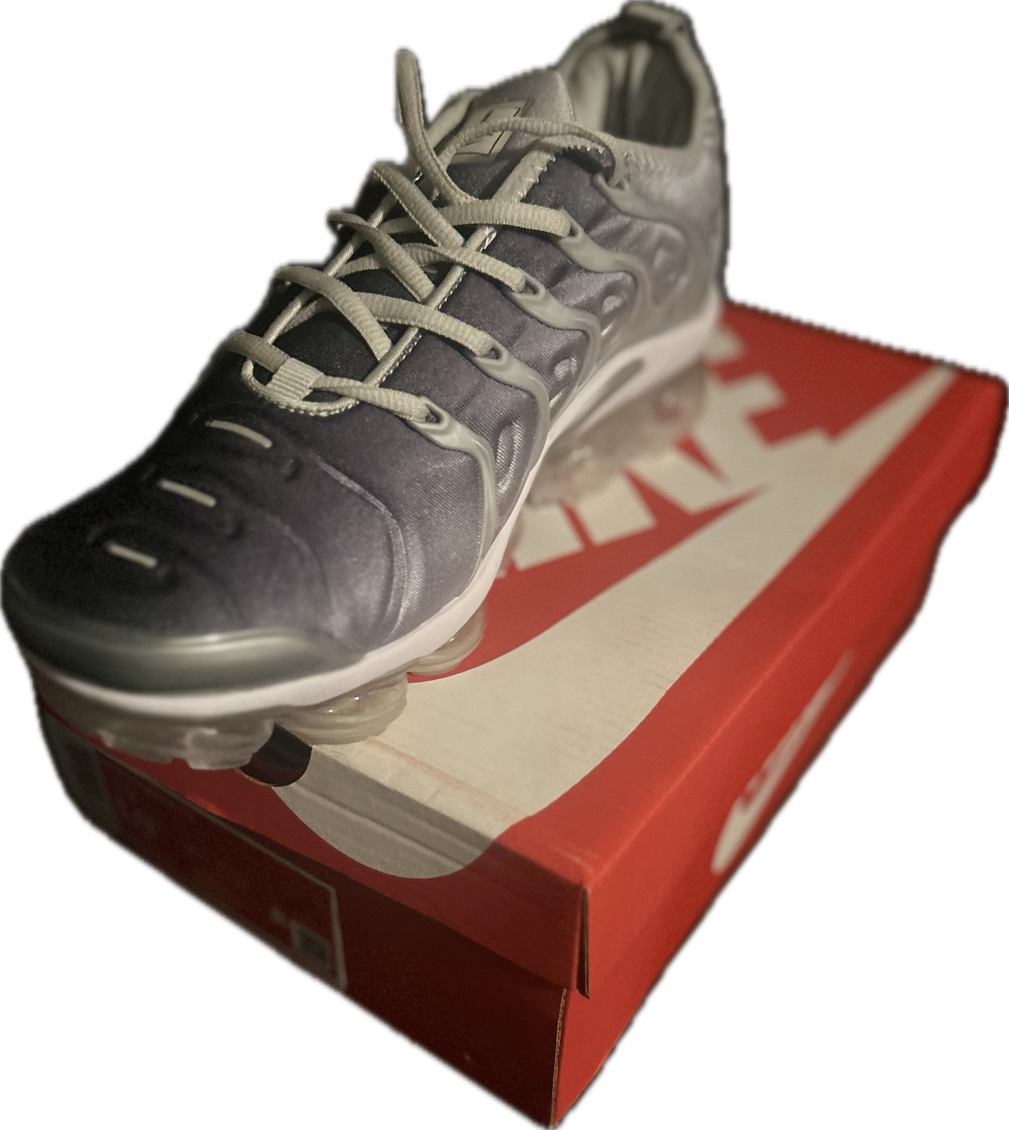 Nike Air Max Plus Silver