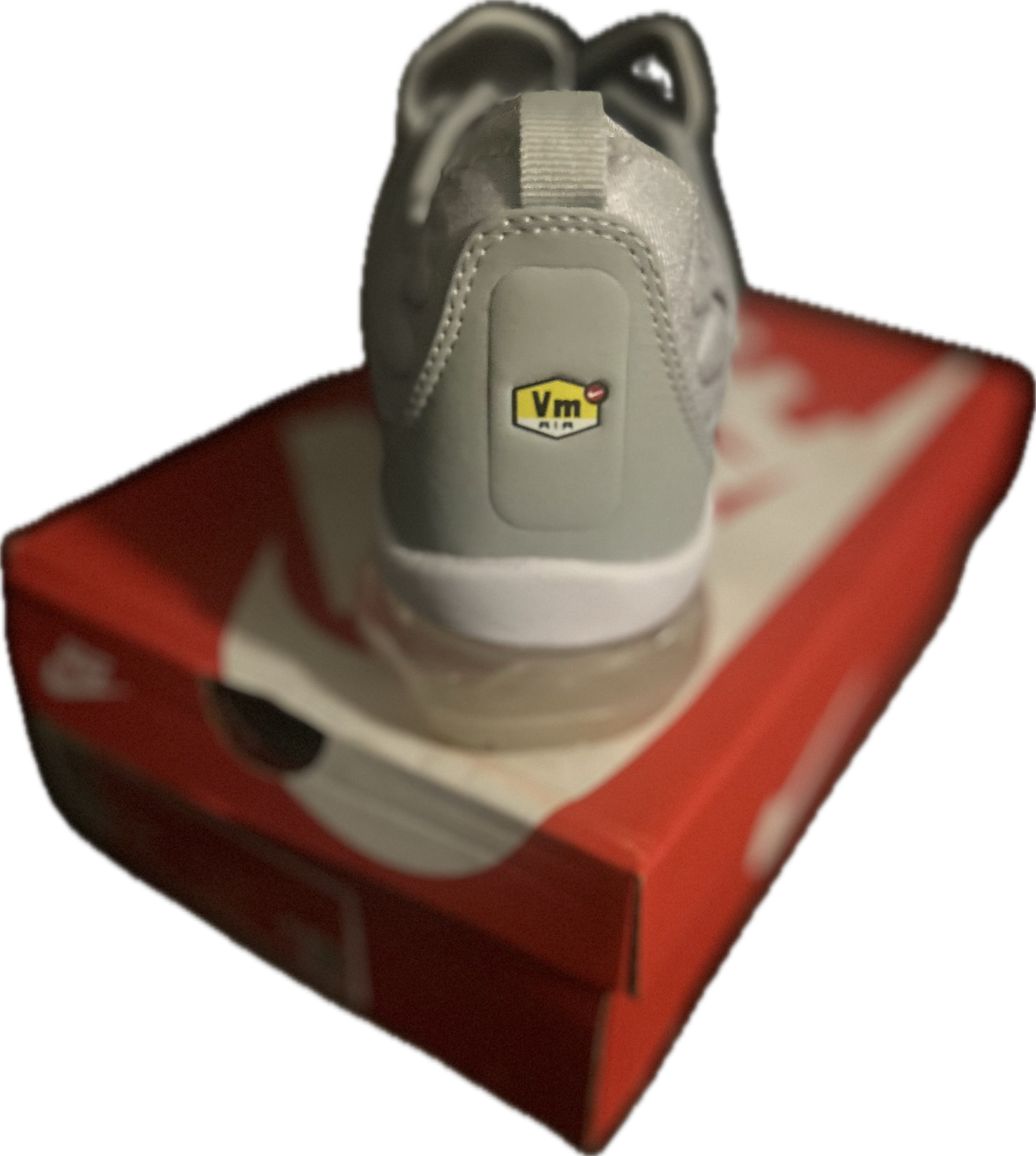 Nike Air Max Plus Silver