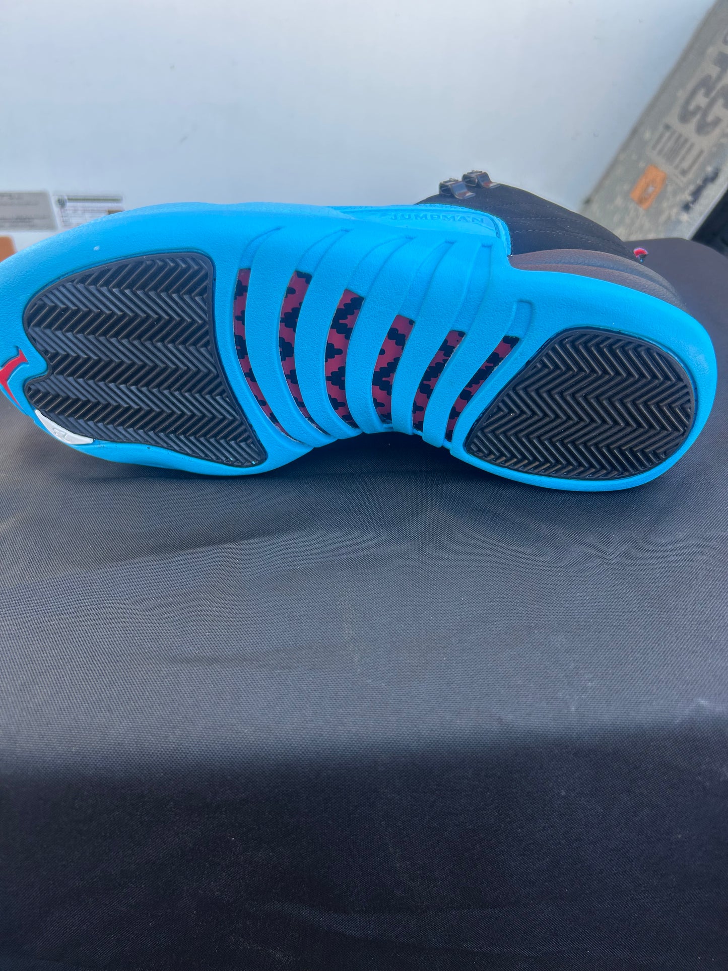 Air Jordan 12 Retro "Gamma Blue"